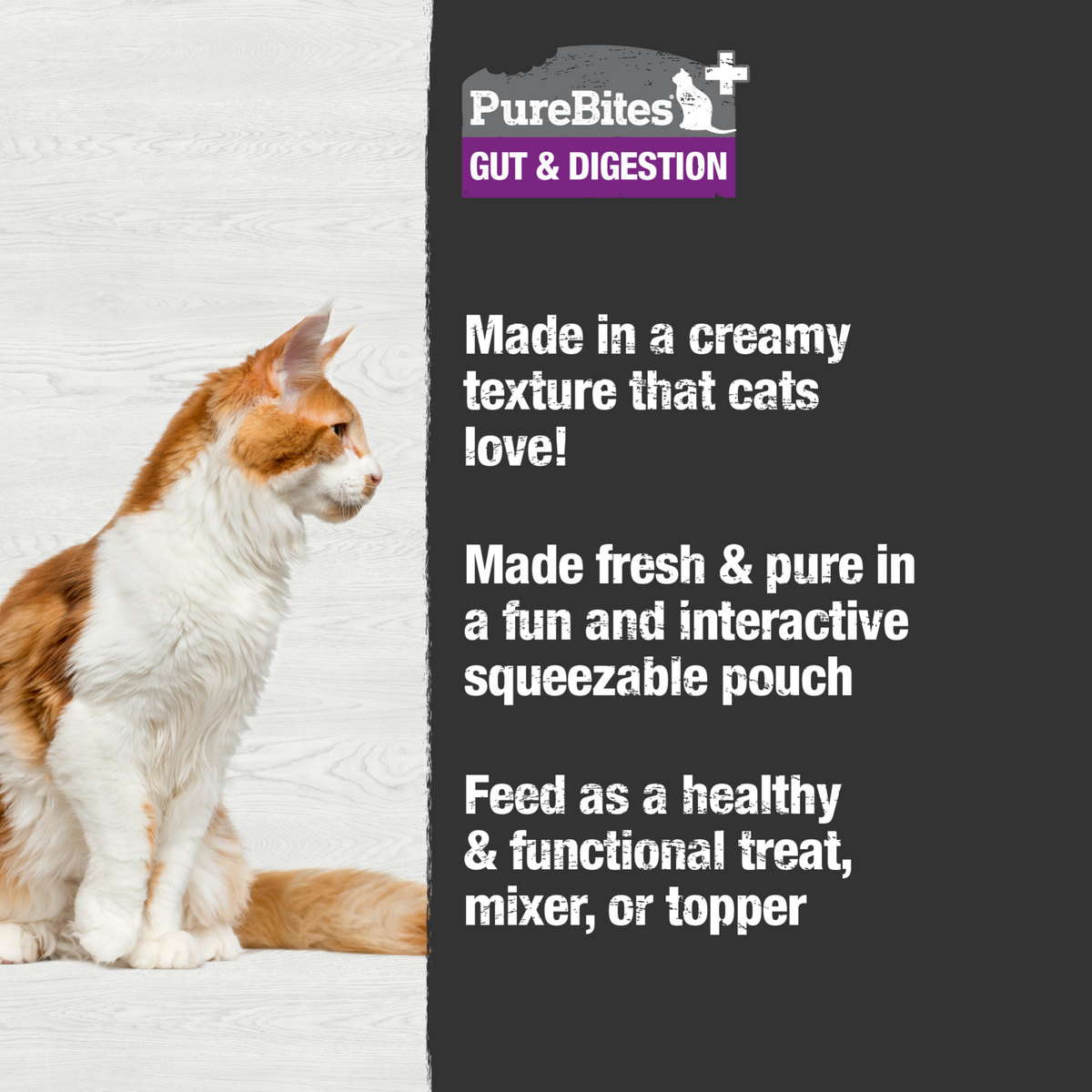 Digestion Squeezable for Cats 15-pack