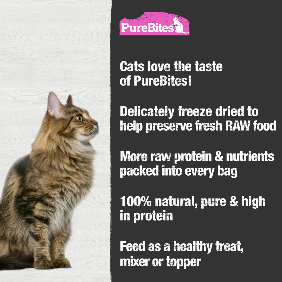 Salmon Freeze Dried Cat Treats