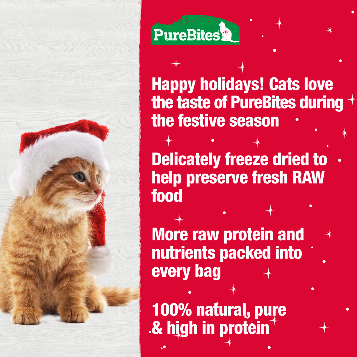 Turkey Holiday Freeze Dried Cat Treats