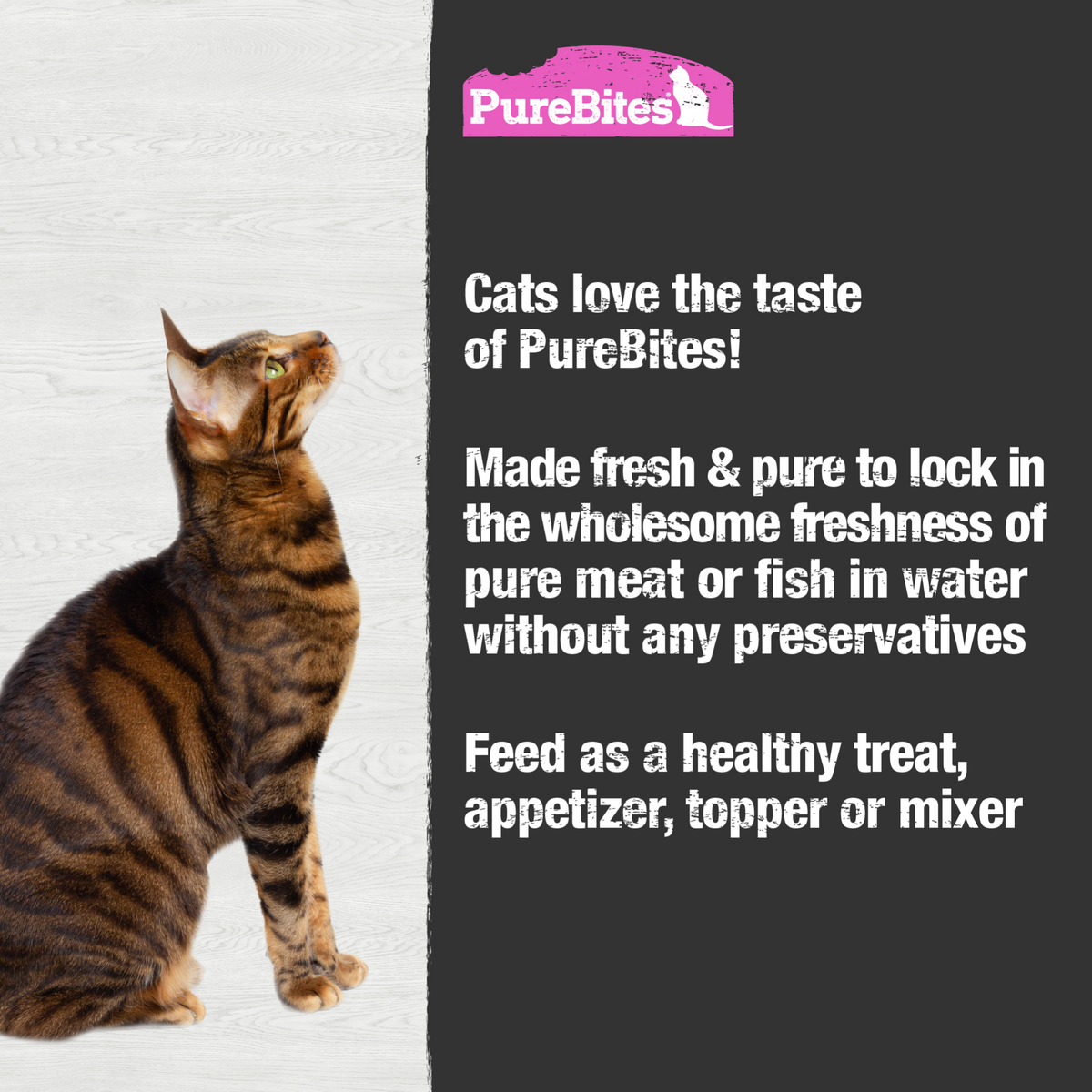 Mélange Thon & Saumon pour Chats Pack de 12
