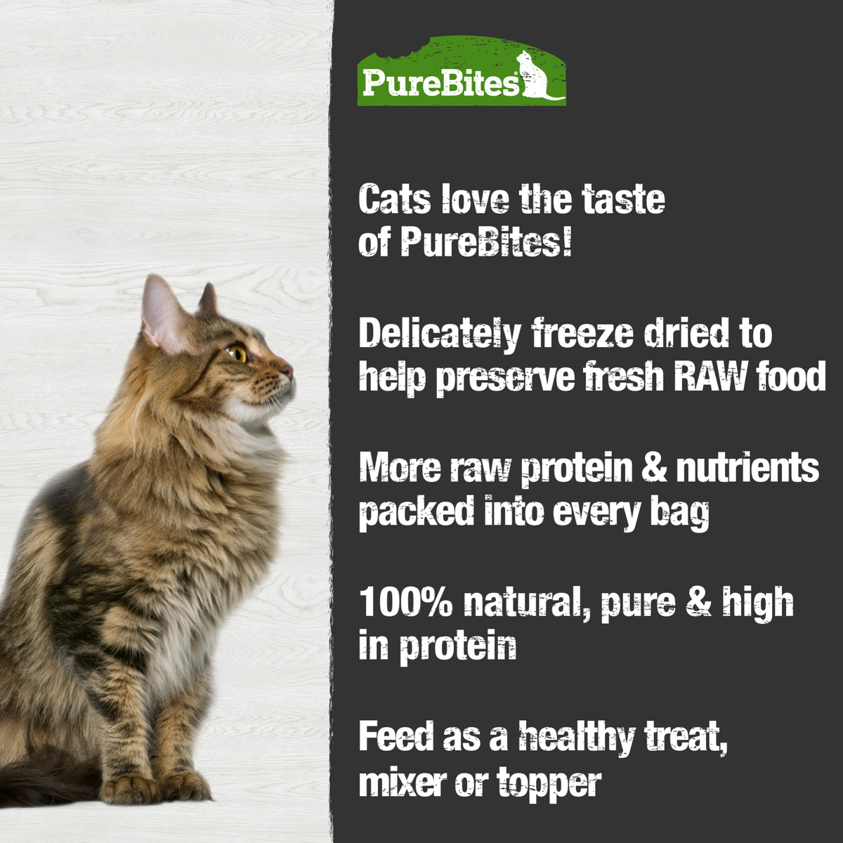 Chicken & Catnip Freeze Dried Cat Treats