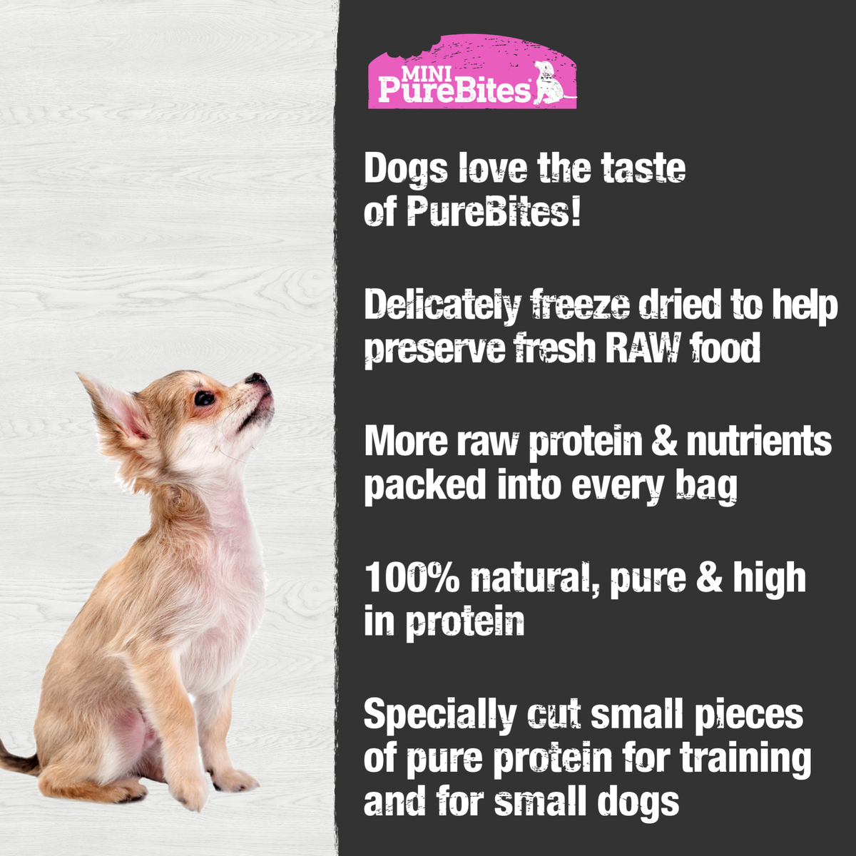 Mini-PureBites au Saumon