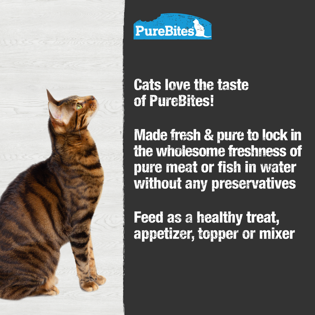 Mélangeur de Thon pour Chats pack de 12