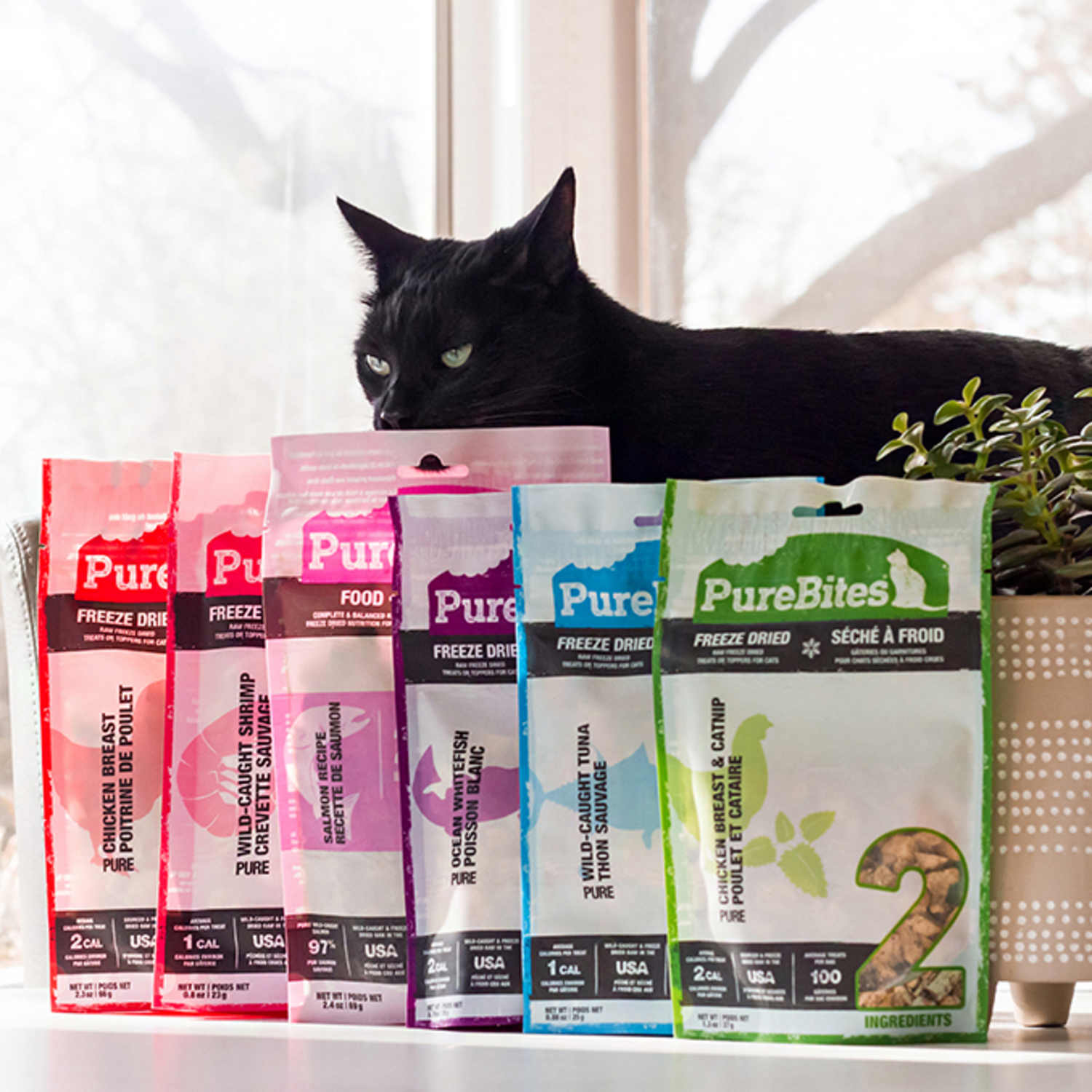 PureBites Chicken & Catnip Freeze Dried Cat Treats, Only 2 Ingredients