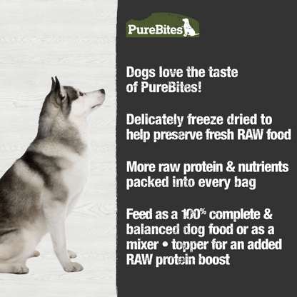 Beef Freeze Dried Dog Food