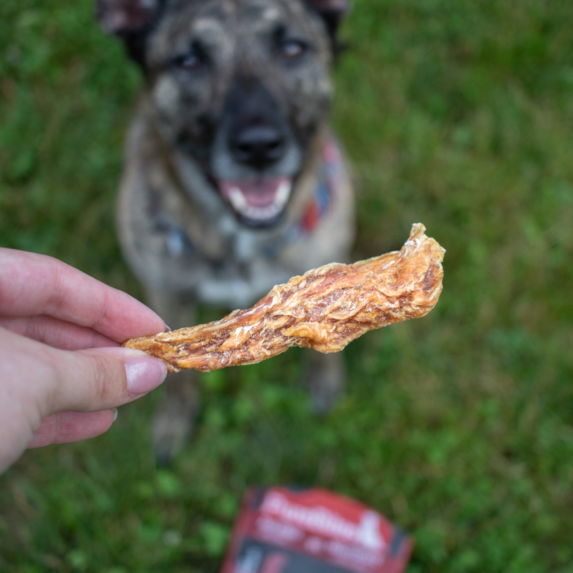 PureBites Chicken Air Dried Jerky Dog Treats, Only Ingredient