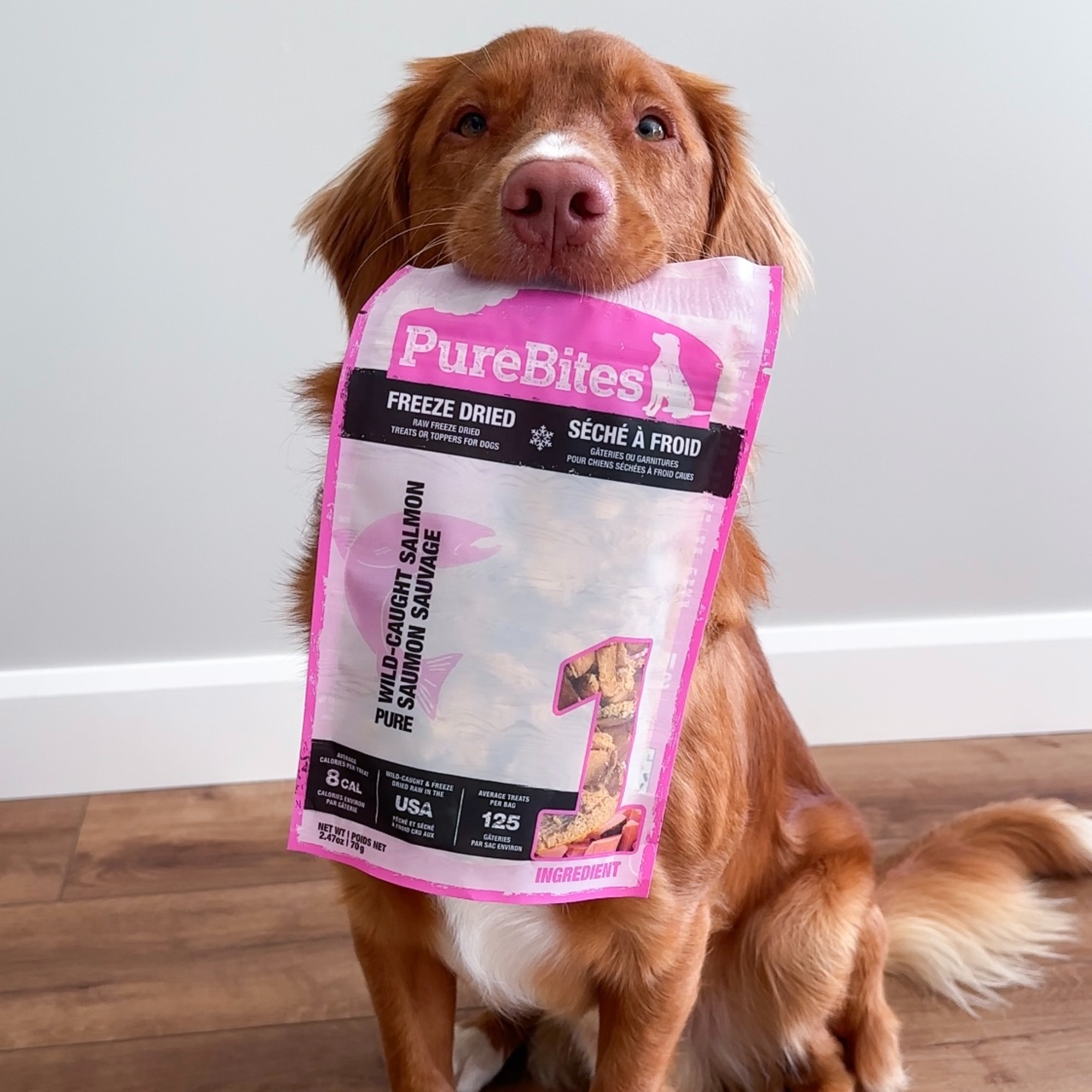 Cooked Salmon Skin Dog Eat Raw Salmon Wilsons Salmon Cold Pressed