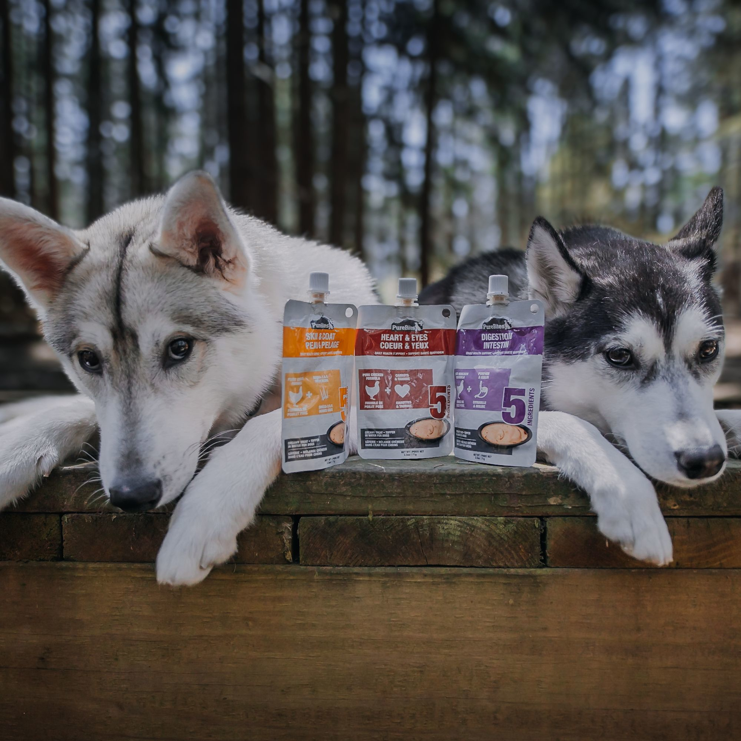 Husky Breed Best Dog Treats For Husky Puppies Best Dog Food For