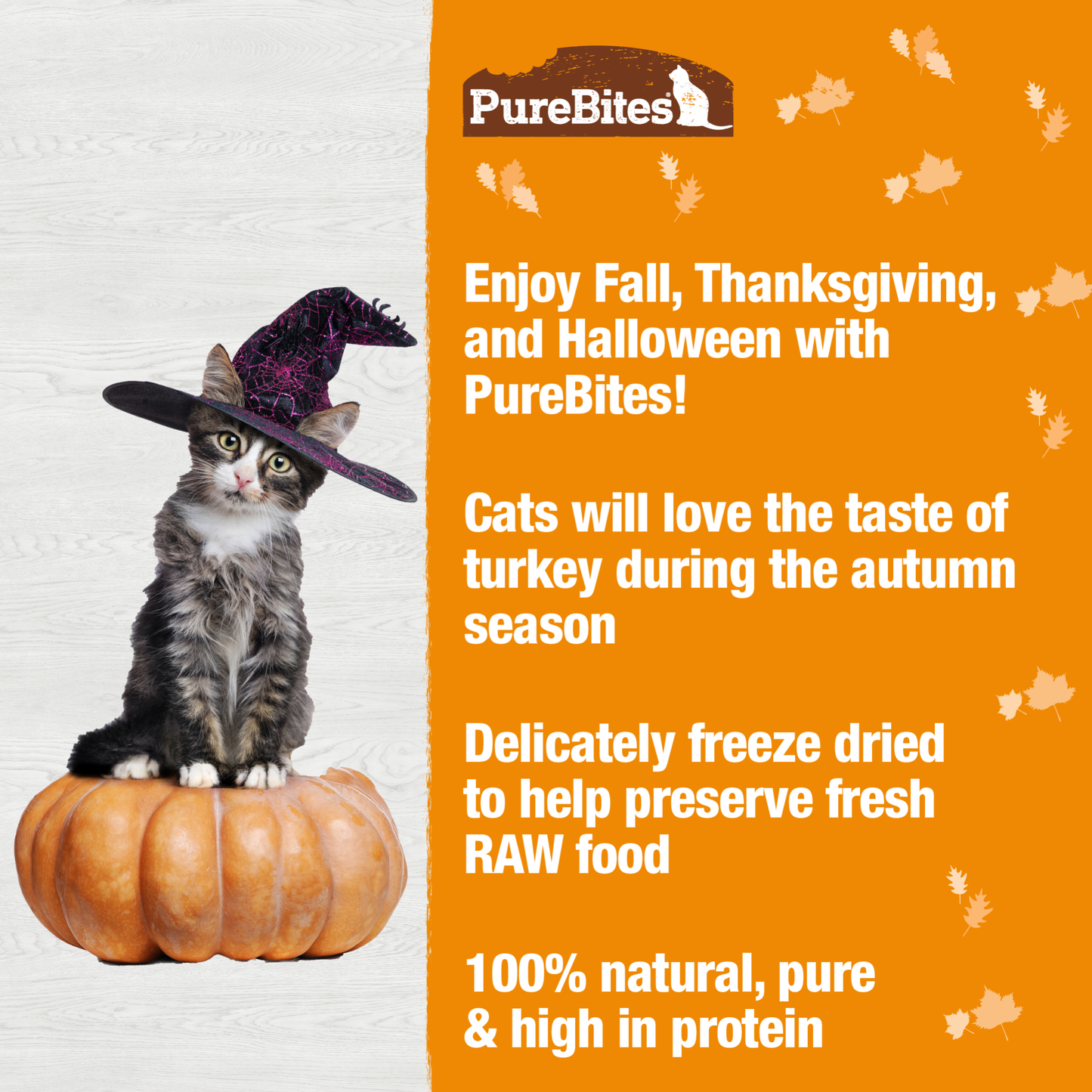 Turkey Fall Freeze Dried Cat Treats