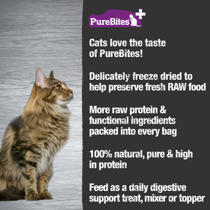 Made fresh & pure means more RAW protein and nutrients packed into every bag. Our gut & digestion treats are freeze dried to help preserve its RAW taste, and nutrition, and mirror a cat’s ancestral diet