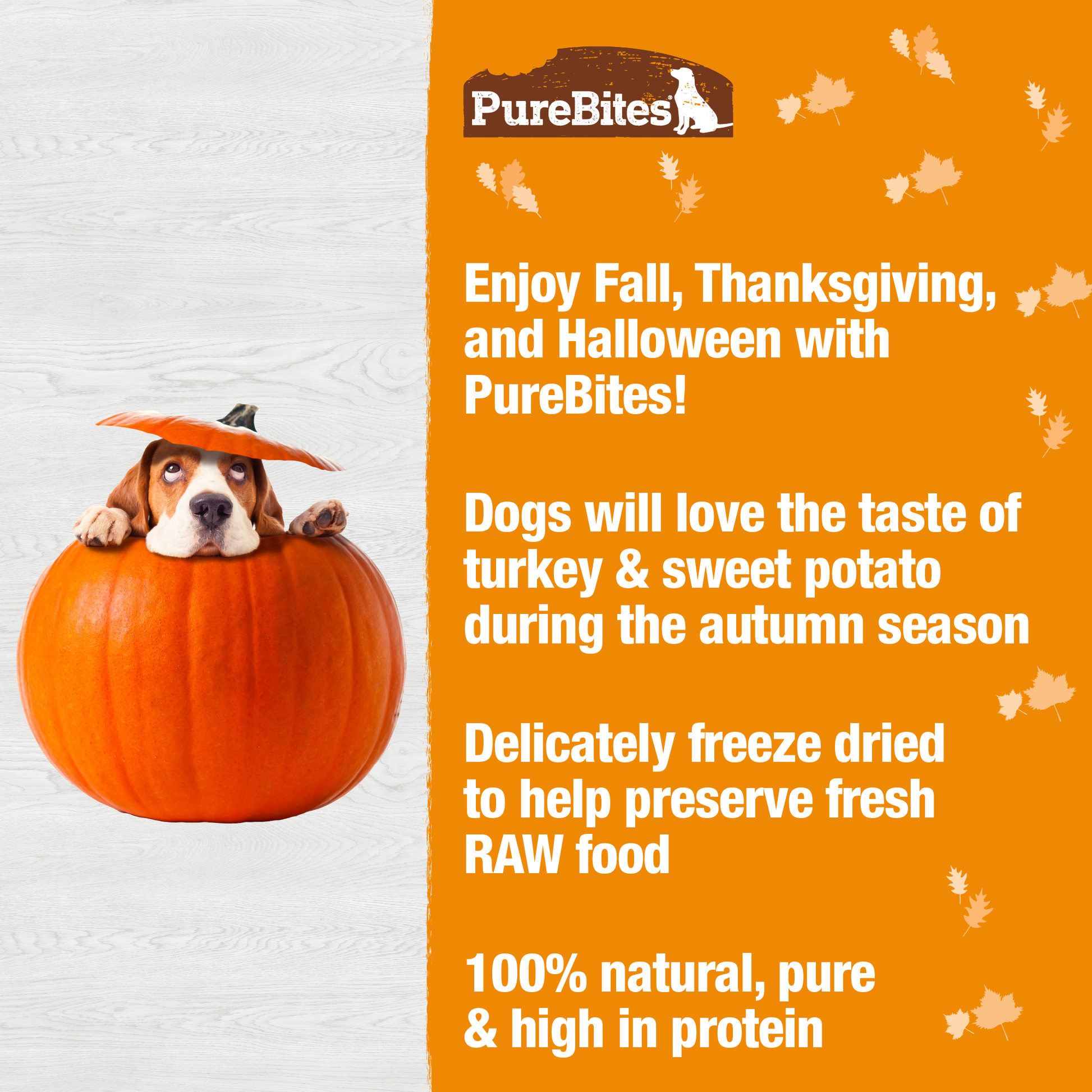 Made fresh & pure means more RAW protein and nutrients packed into every bag. Our turkey & sweet potato is freeze dried to help preserve its RAW taste, and nutrition, and mirror a dog’s ancestral diet