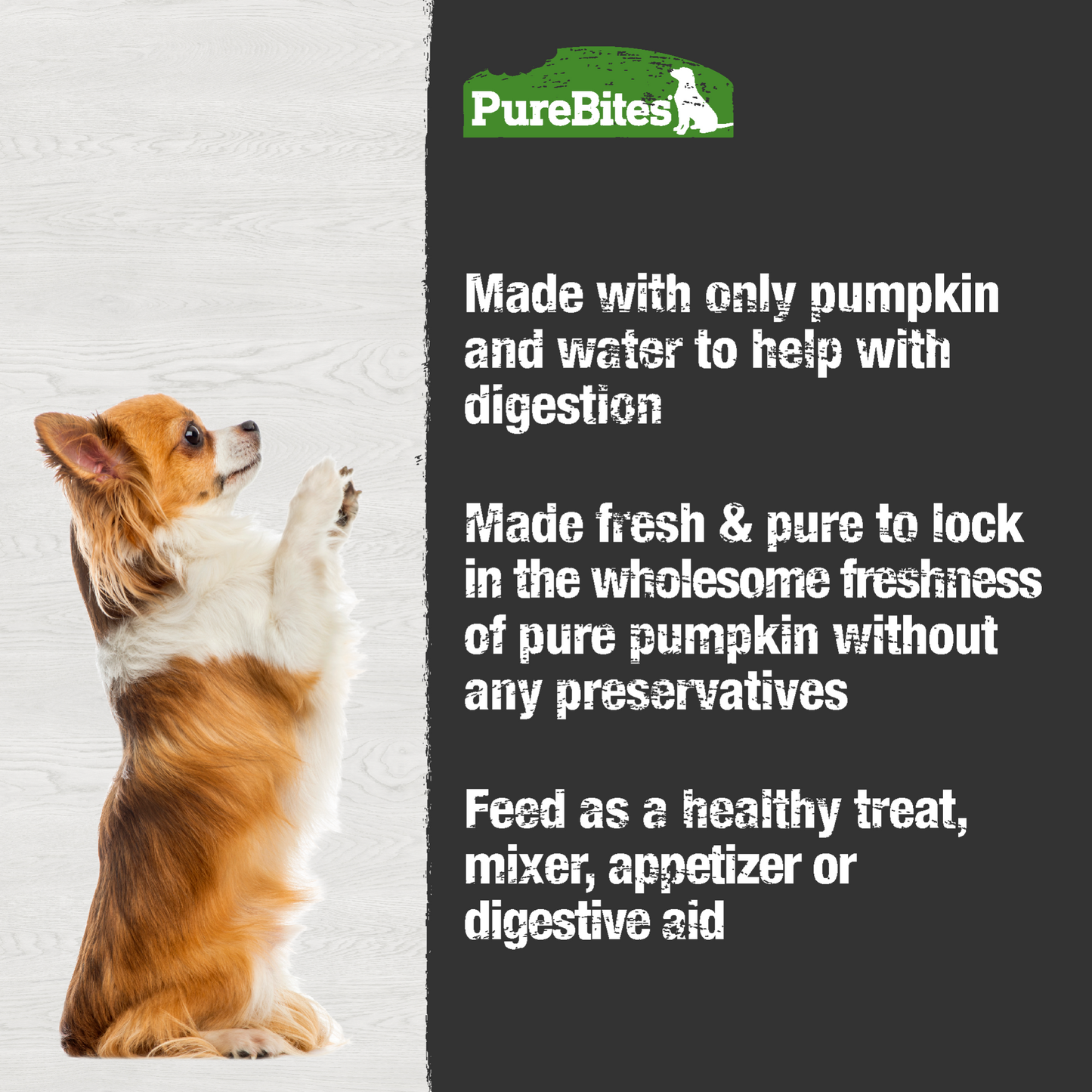 Pumpkin in Water For Dogs